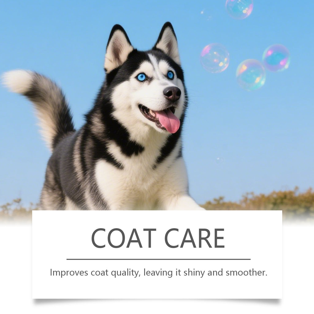 Kriath Pet Dog Nutrition gouttes formule légère pour la fourrure et soins de la peau aliments principaux avec supplemen
