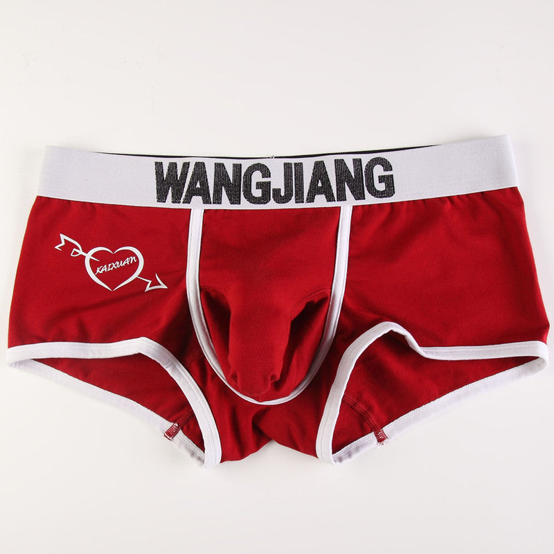 Sous-vêtements pour hommes Boxers Low Waist Coton U Convex Trunk Mode Sexy Boxers pour hommes