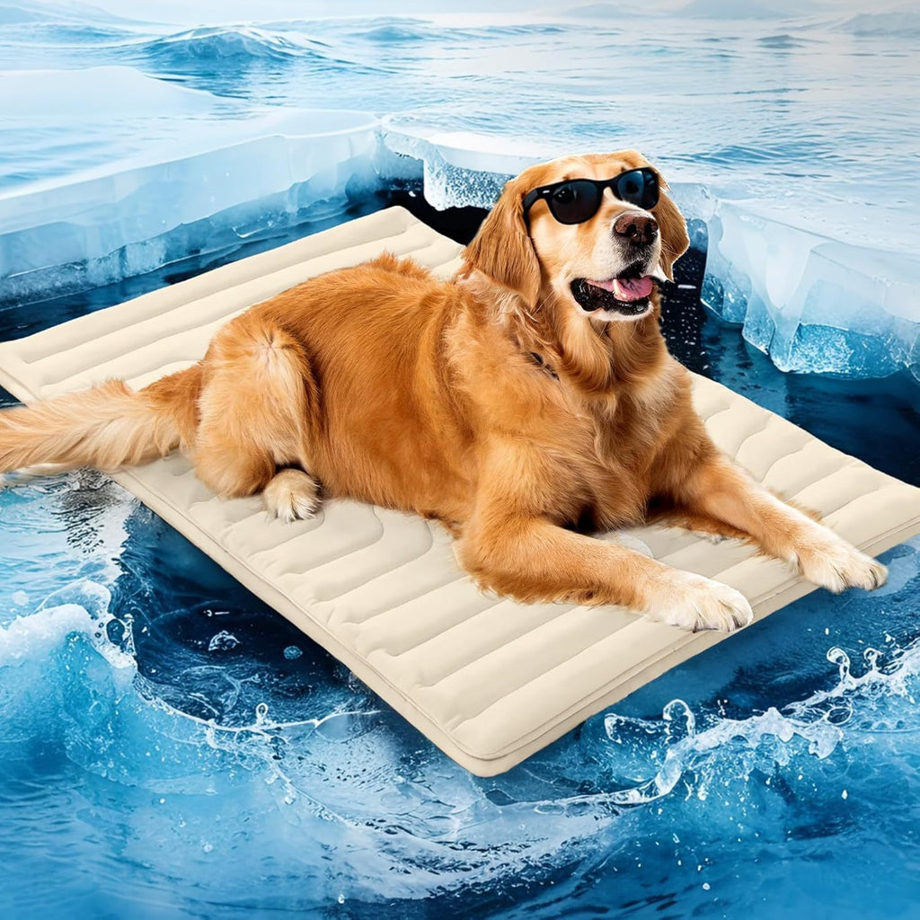 Pet Ice Mat Summer Heatstroke Prévention et refroidissement