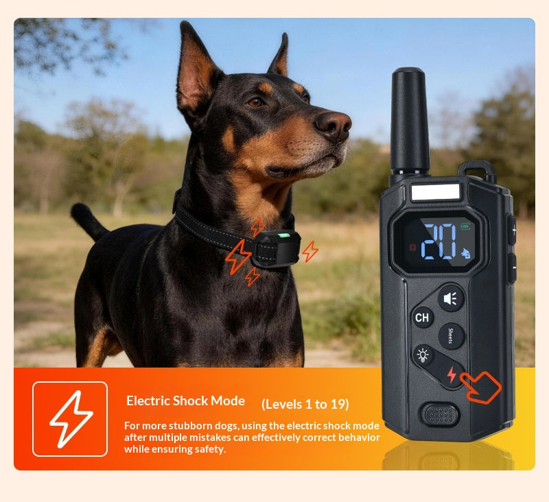 Collier d'entraînement à distance intelligent pour chien avec dispositif anti-brouillard de vibration et choc