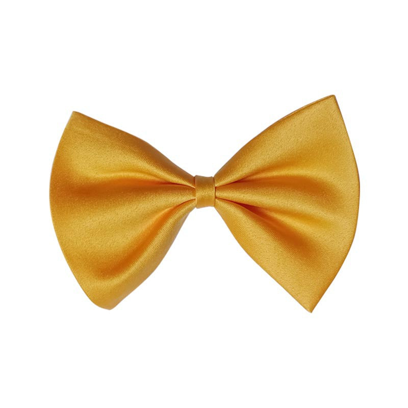 Collier pour animal de compagnie en couleur solide simple
