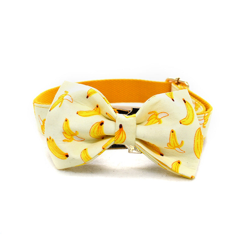 Collier de corde de remorquage Pet fournitures or métal boucle