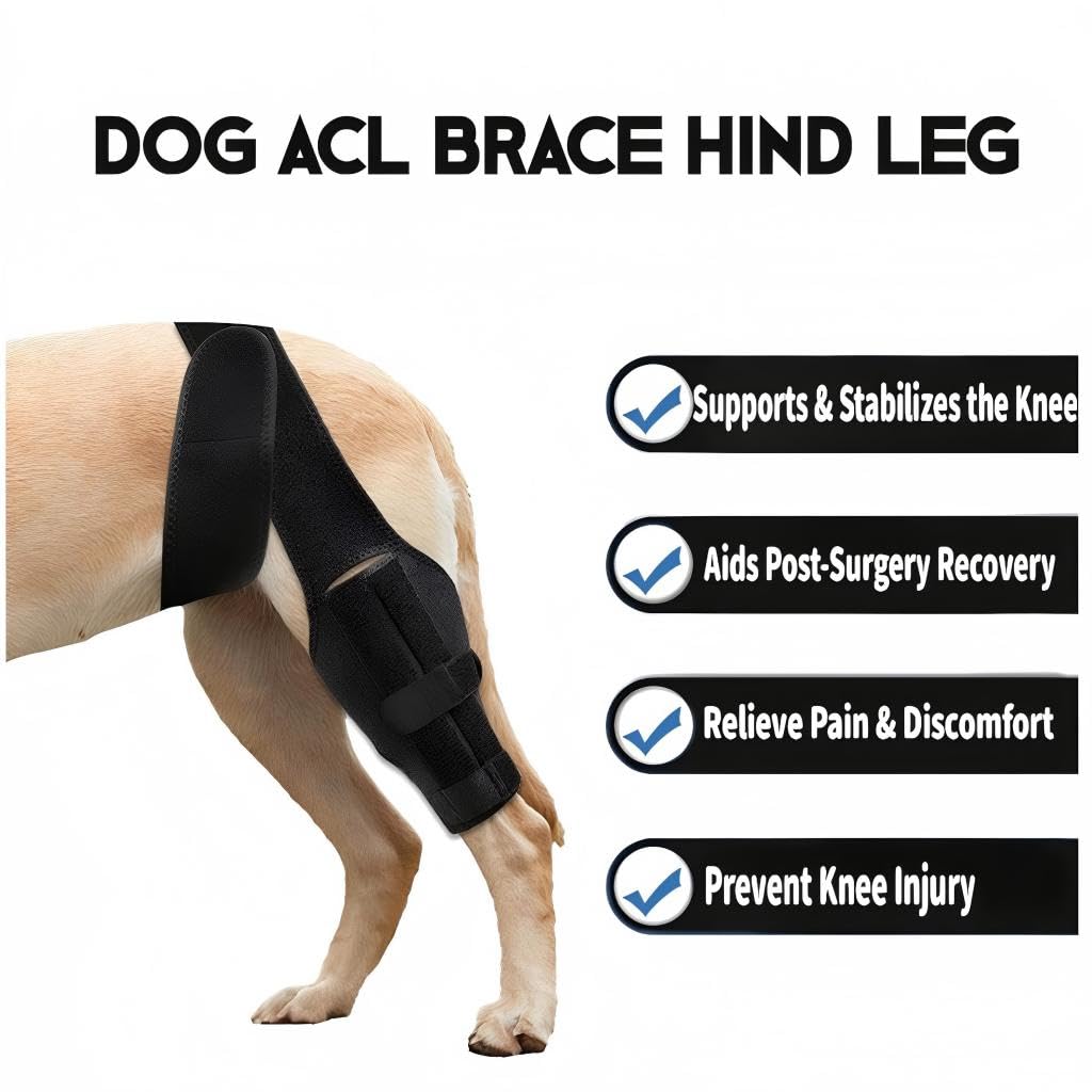 Brace à genou de chien pour la jambe arrière de l'ACL
