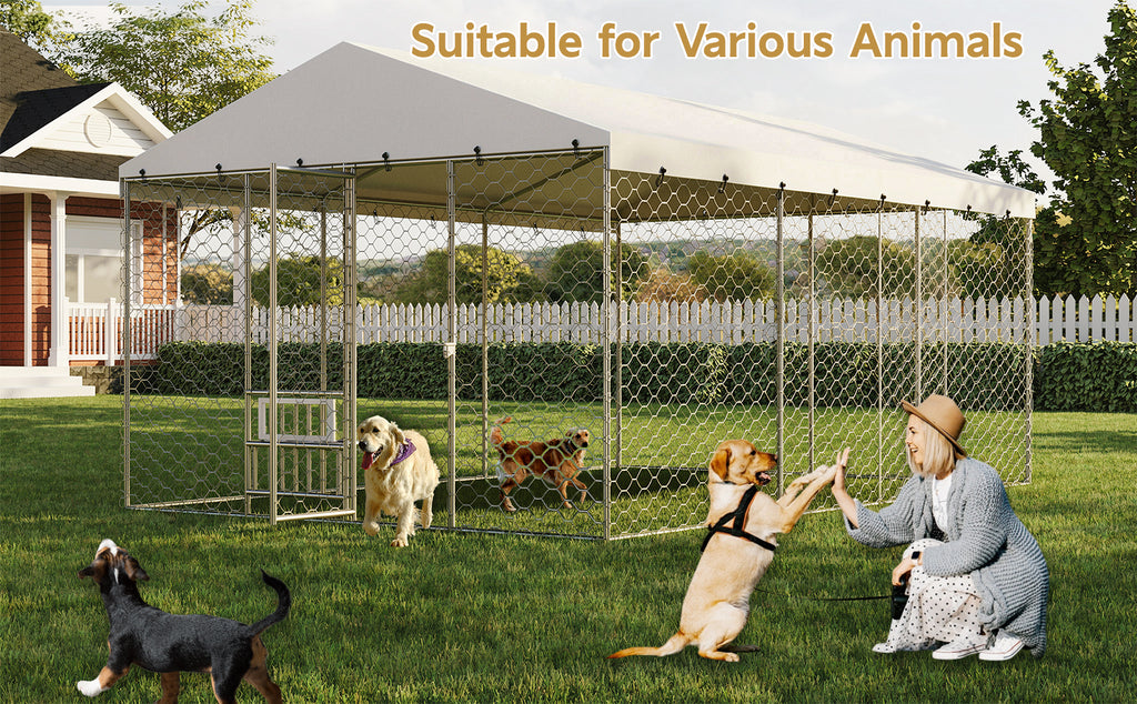 15x10 FT Grand Kennel de chien extérieur avec Canopy