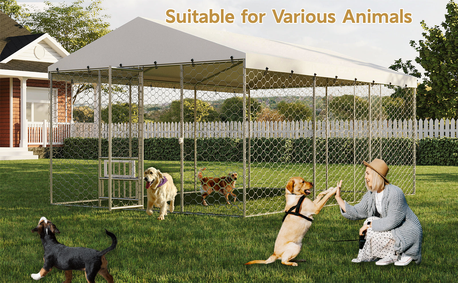 15x10 FT Grand Kennel de chien extérieur avec Canopy