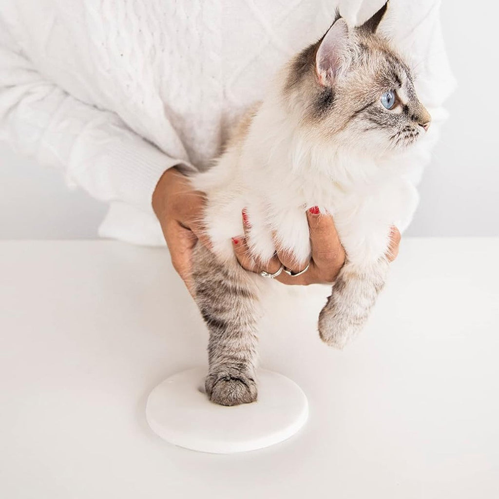 Chat de chat blanc et chien Paw bricolage encre Pad souvenir