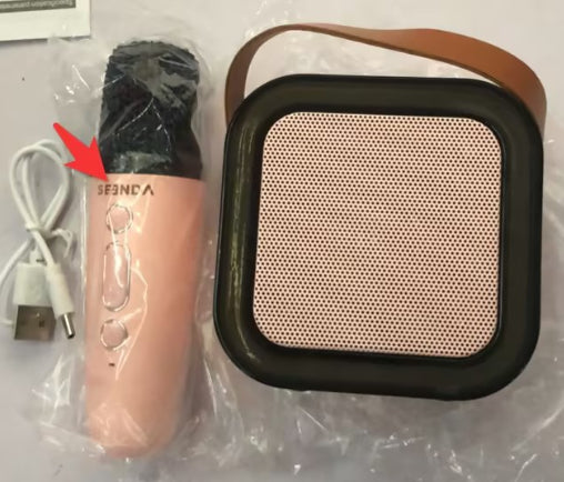 Microphone Bluetooth haut-parleur intégré extérieur