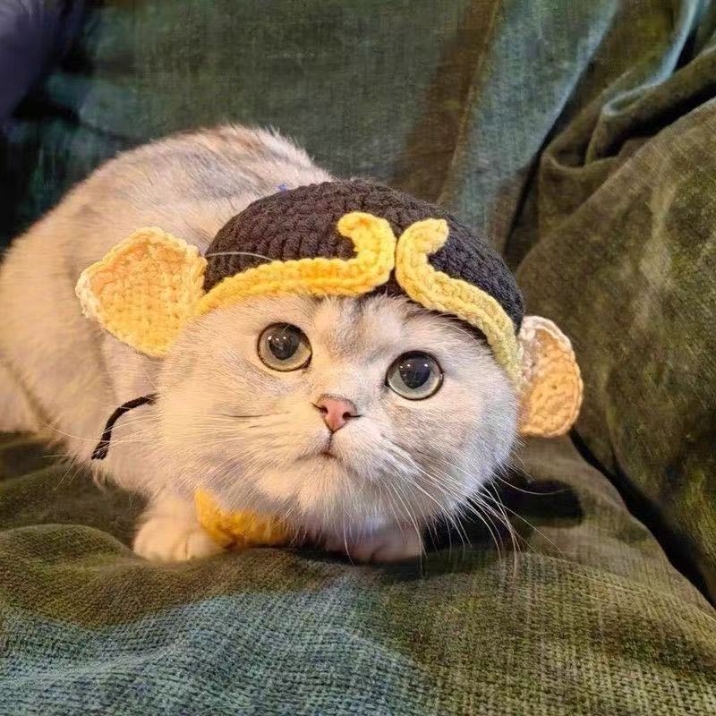 Chapeau tricoté pour chats et chiots