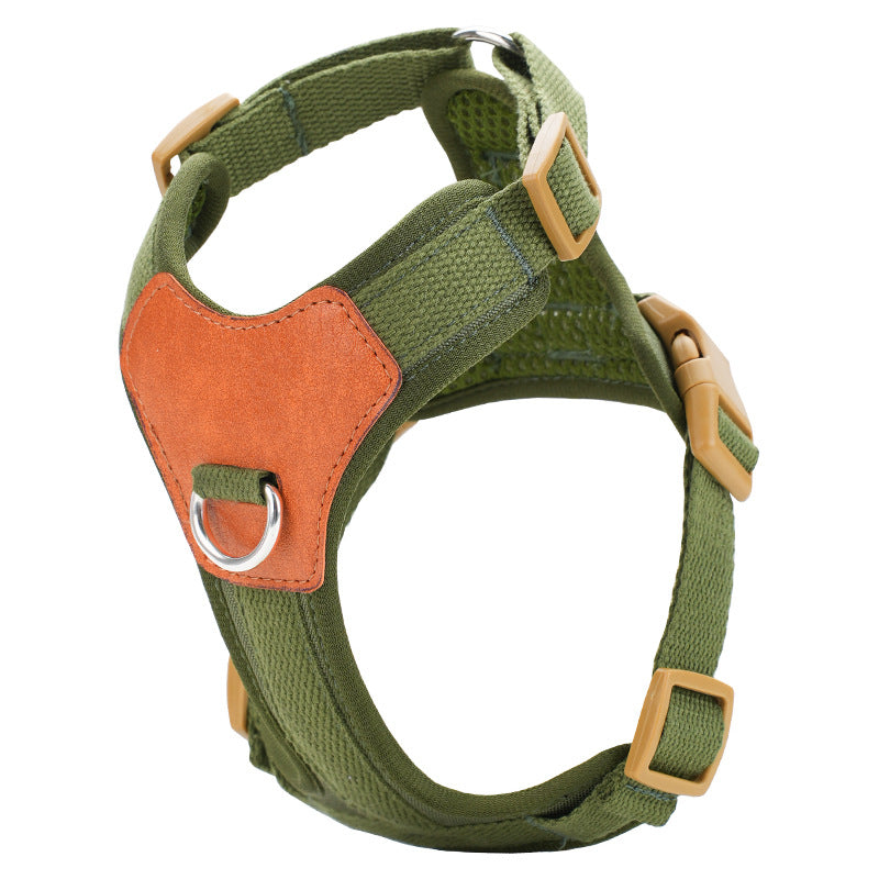 Harnais retro pour chien tenant la main