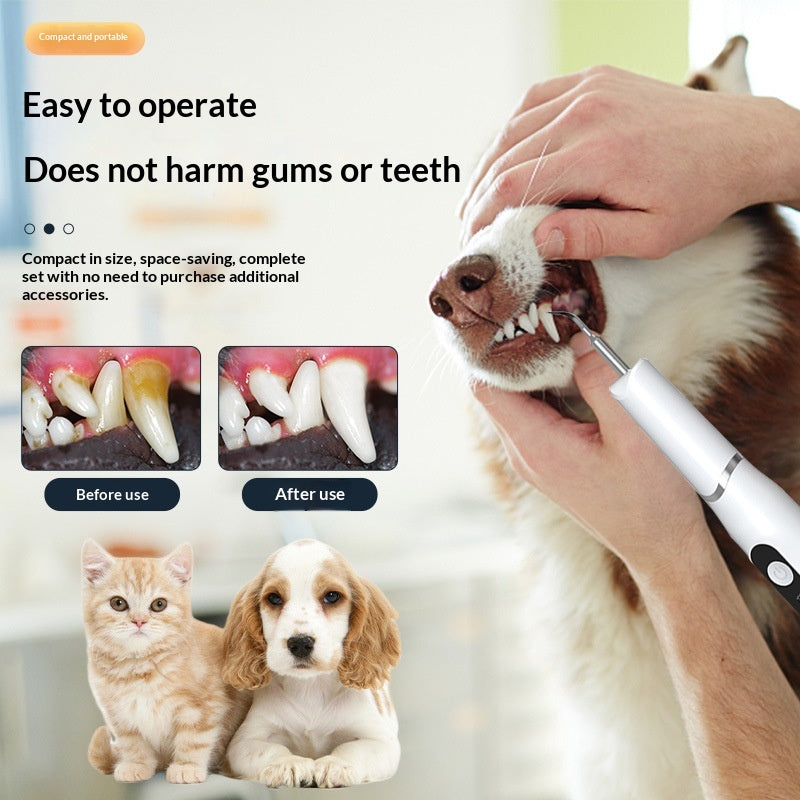 Appareil de nettoyage dentaire pour chien et chat