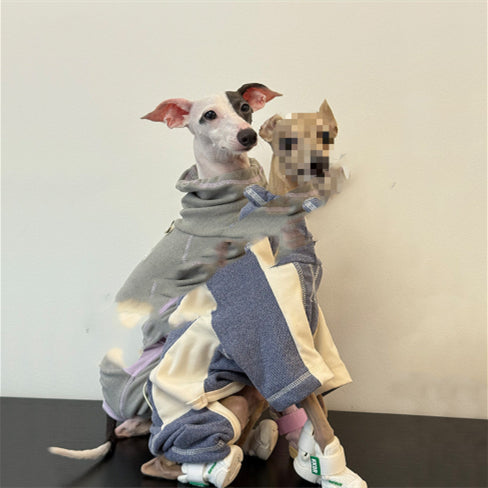 Vêtements de chien AutomneHiver épaississement chaud Apparel simple Sporty Style Four-Leg Base Layer