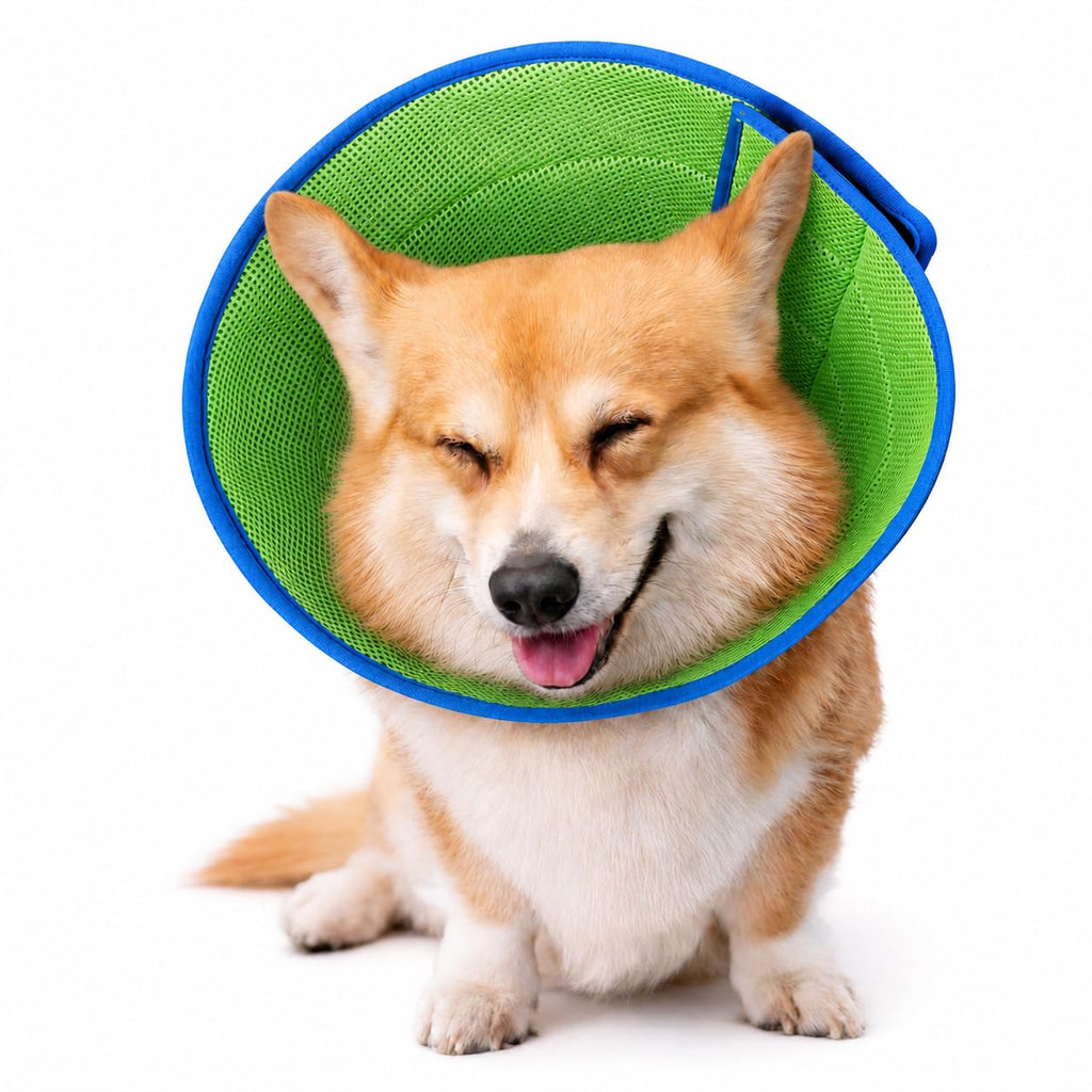 Collier de cône de chien doux pour arrêter le collage après chirurgie