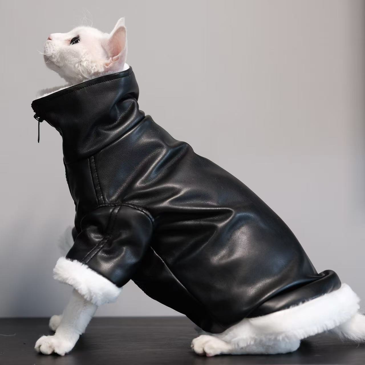 Manteau épais Sans fourrure Vêtements de chat Sphynx Cat Outfit Automnehiver Style
