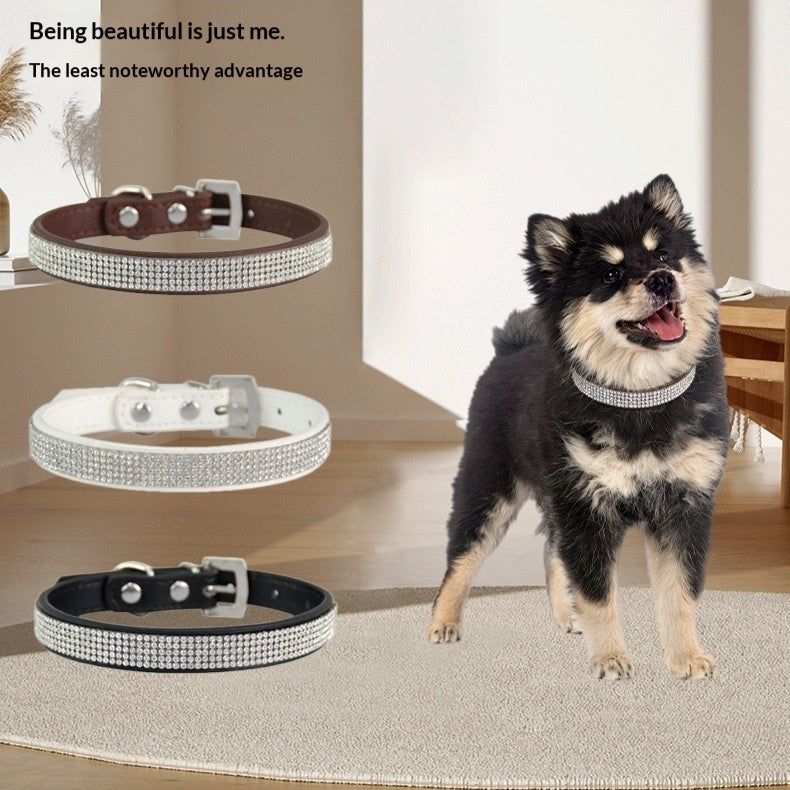 Collier de chien de broderie de diamant de chat