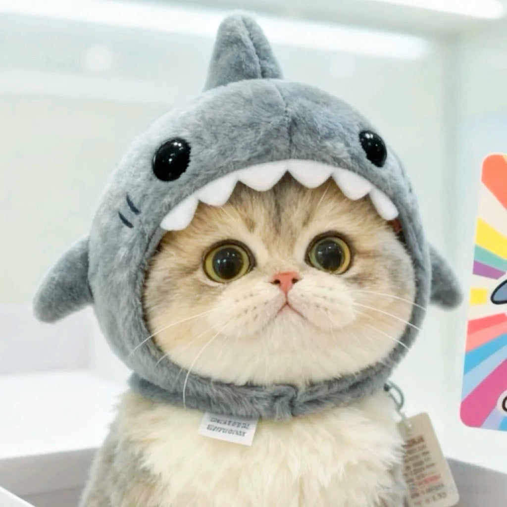 Tête de requin-chat chaud