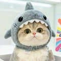 Tête de requin-chat chaud