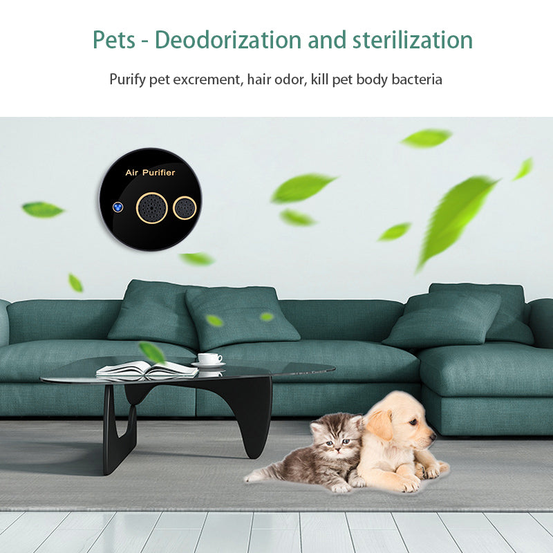 Purificateur d'air solaire électrique portable pour la stérilisation Désodorisation et forme