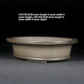 Pot de fleurs Yixing pourpre Bonsai