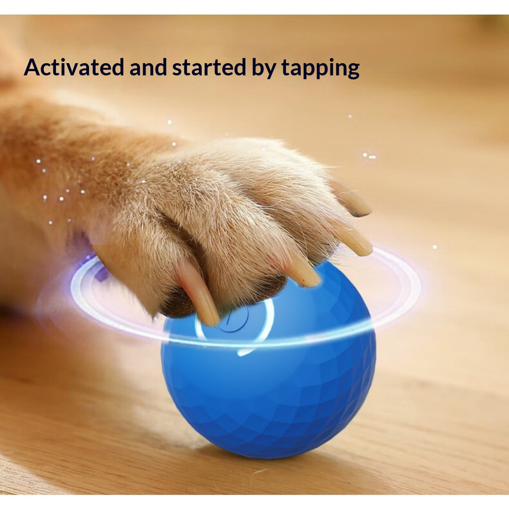 Boule de jouet électrique interactive pour chien gravitationnelle pour self-play
