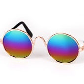 Verres pour chats Lunettes de soleil pour chats Accessoires pour chats