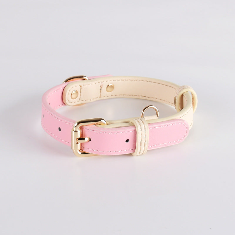 Collier en cuir pour chiens de taille petite et moyenne