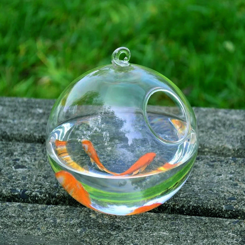 Réservoir de poisson en verre suspendu