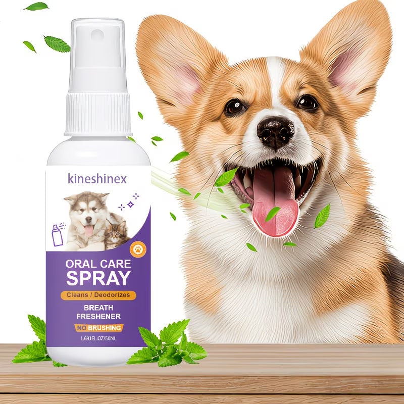 Spray de soins dentaires pour les animaux de compagnie pour le souffle frais