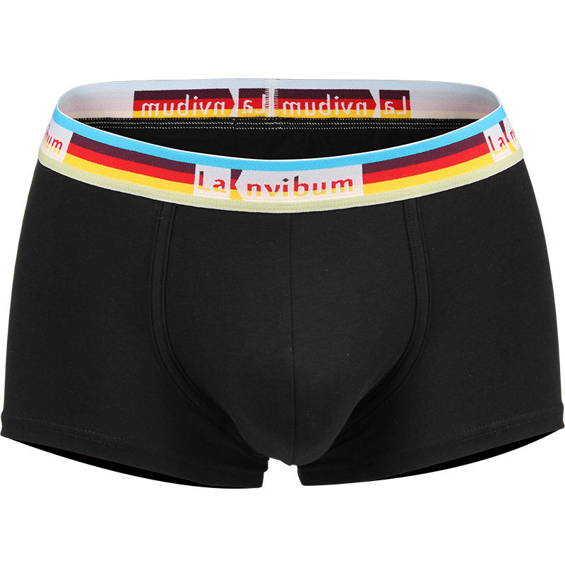 Sous-vêtements pour hommes en coton taille moyenne Rainbow Belt Boxer Short