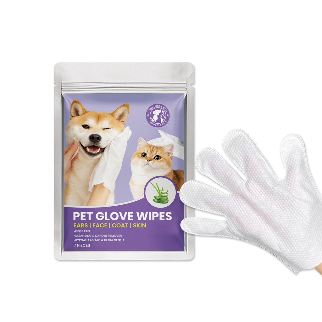 Essuie-glaces pour chats et chiens
