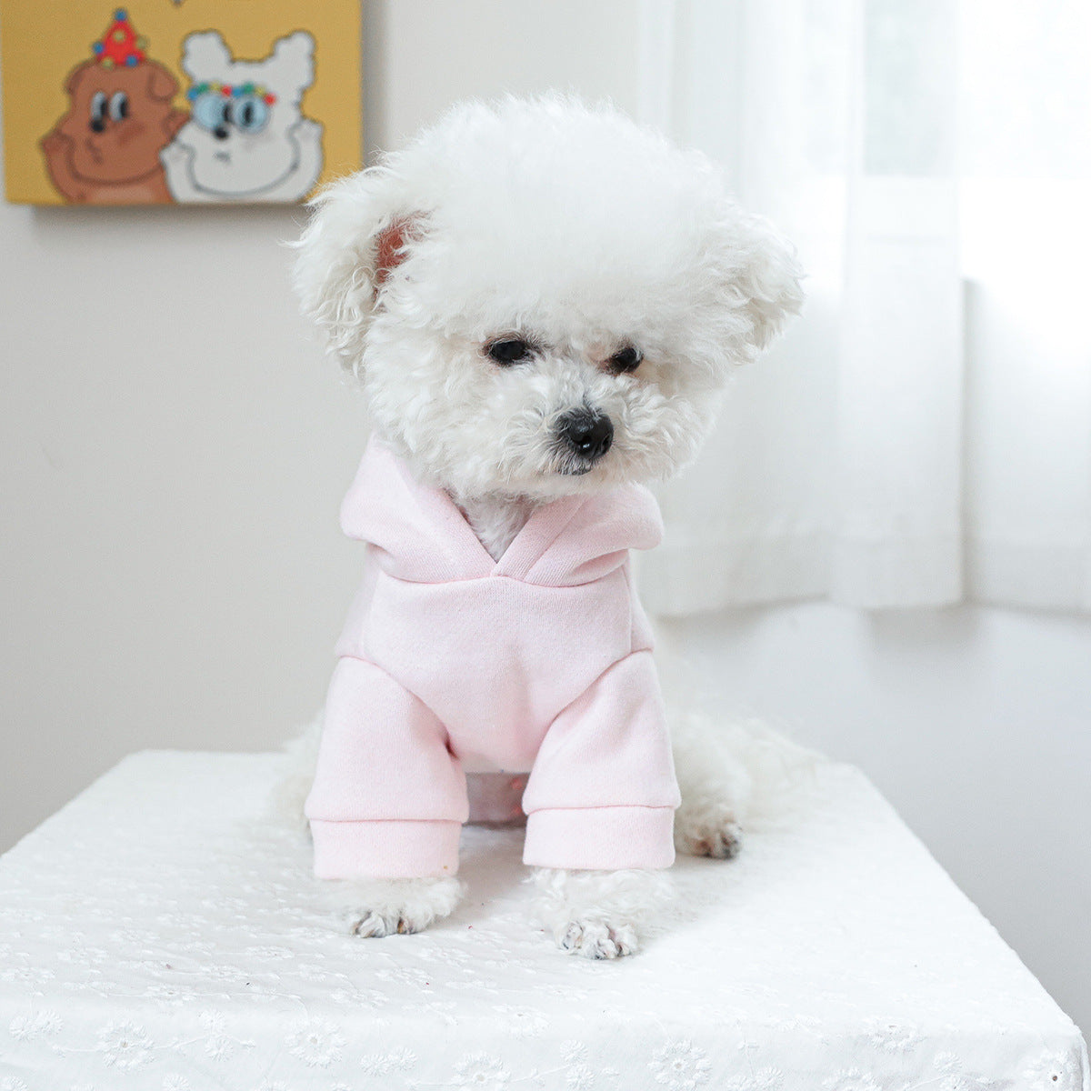 Vêtements pour animaux de compagnie Vêtements de chat à capuche Petite princesse