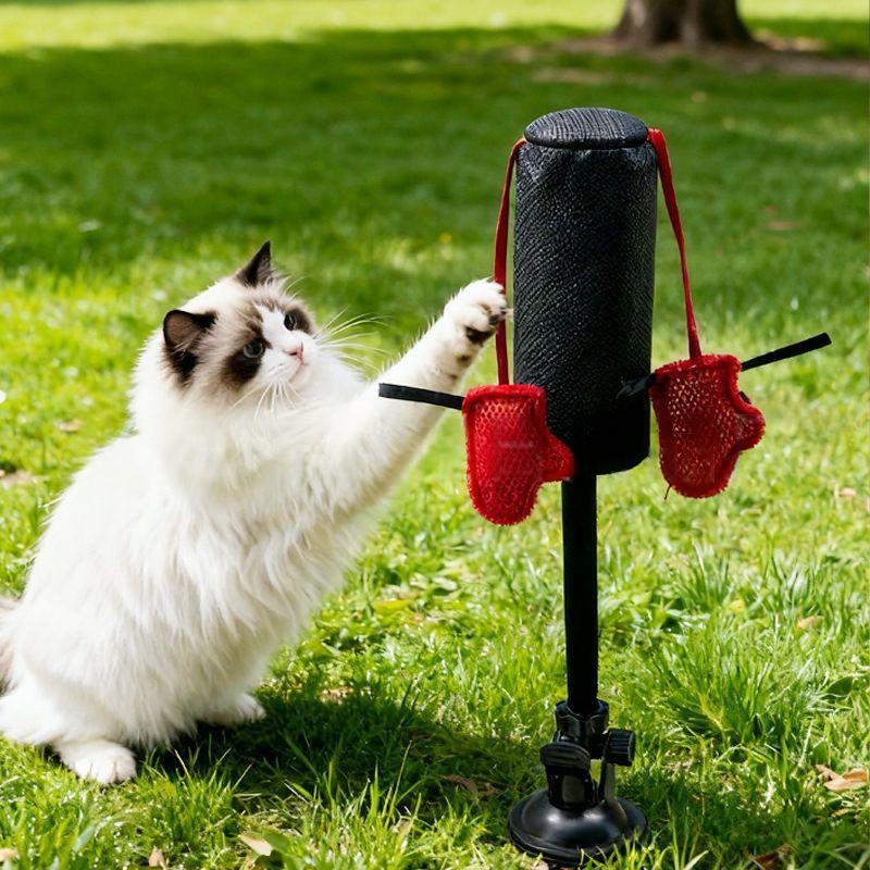 Jouet de printemps de boxe de chat domestique