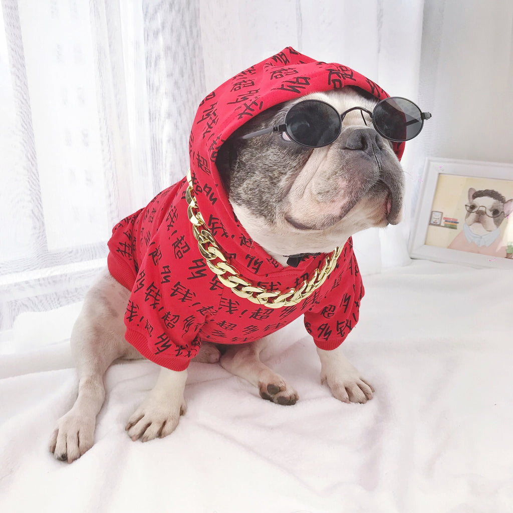 Jouet de lunettes de chien moyen et grand