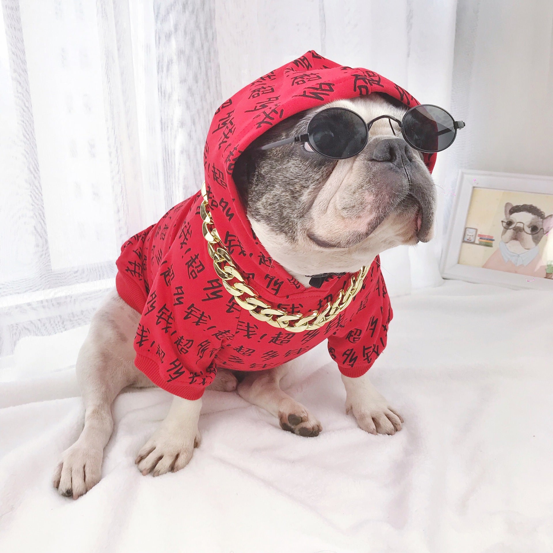 Jouet de lunettes de chien moyen et grand