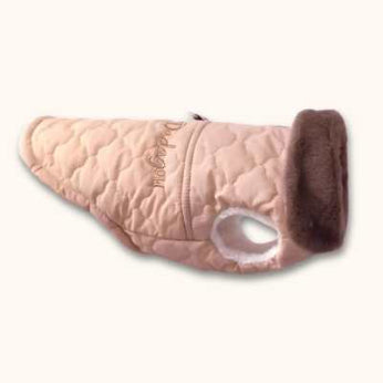 Mode chien Automne et vêtements d'hiver