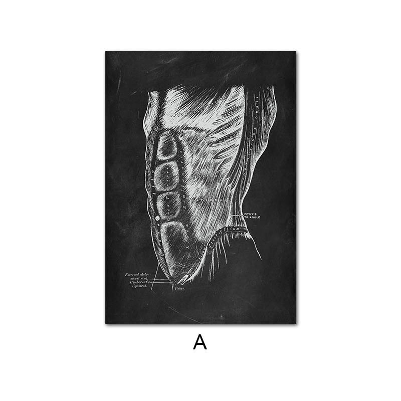 Peinture sur toile du système d'organes de squelette d'anatomie humaine