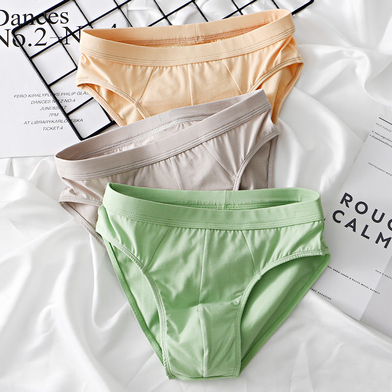 Slips en coton de mode pour homme