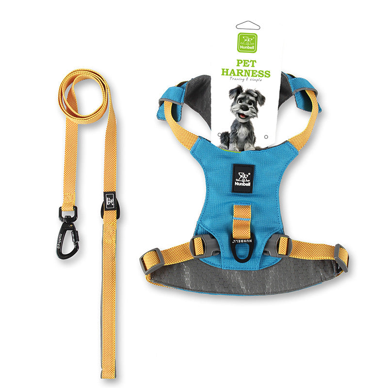 Ensemble de laisses pour chiens conçu pour empêcher le tirage adapté aux petits chiens moyens et grands