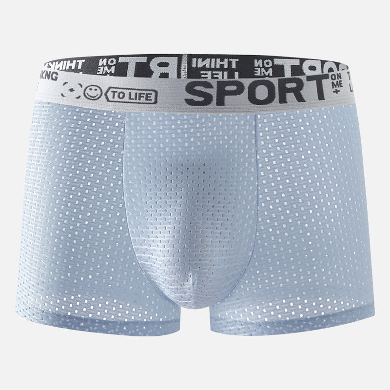 Sous-vêtements Hommes Ice Silk Mesh Boxers