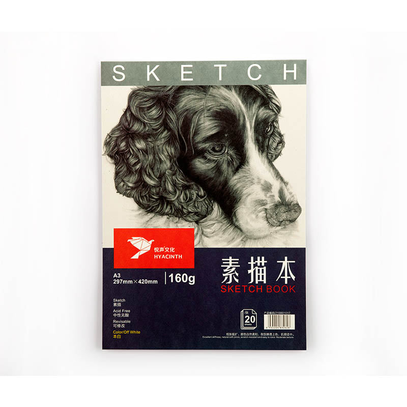 Couleur Lead Livre Blank Flip Vertical Turn Colle de bobine Livre de dessin