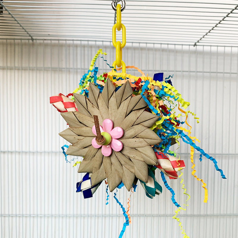 Jouets éducatifs brossé de palmier de perroquet