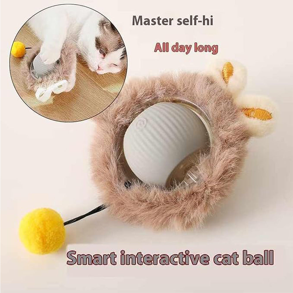 Jouet électrique de boule de chat de chien