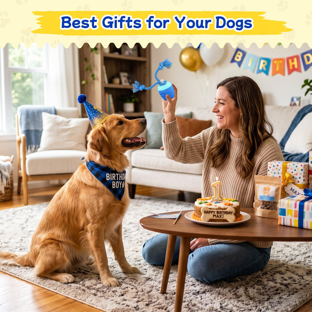Jouets interactifs pour chiens