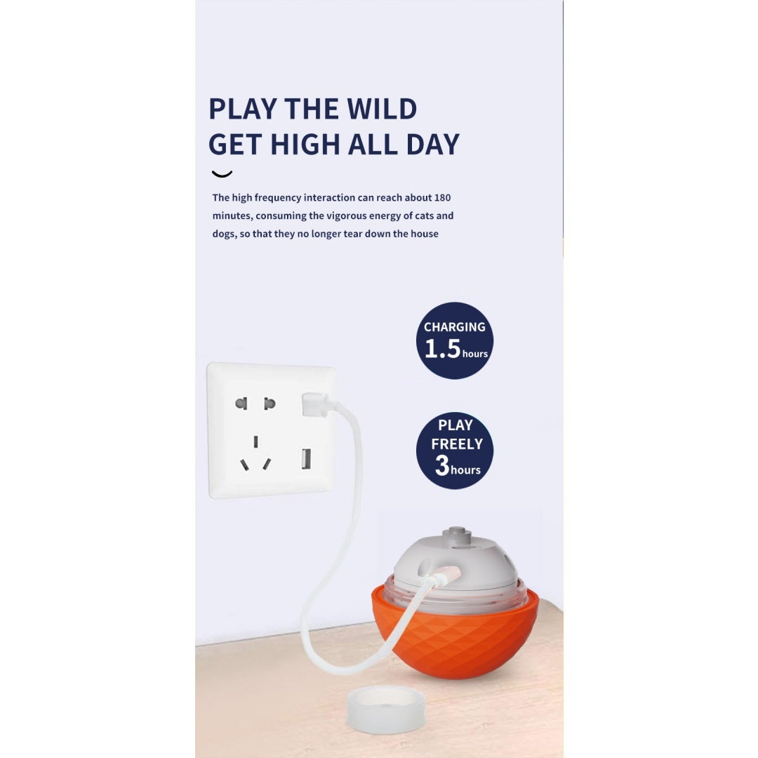 Boule de jouet électrique interactive pour chien gravitationnelle pour self-play