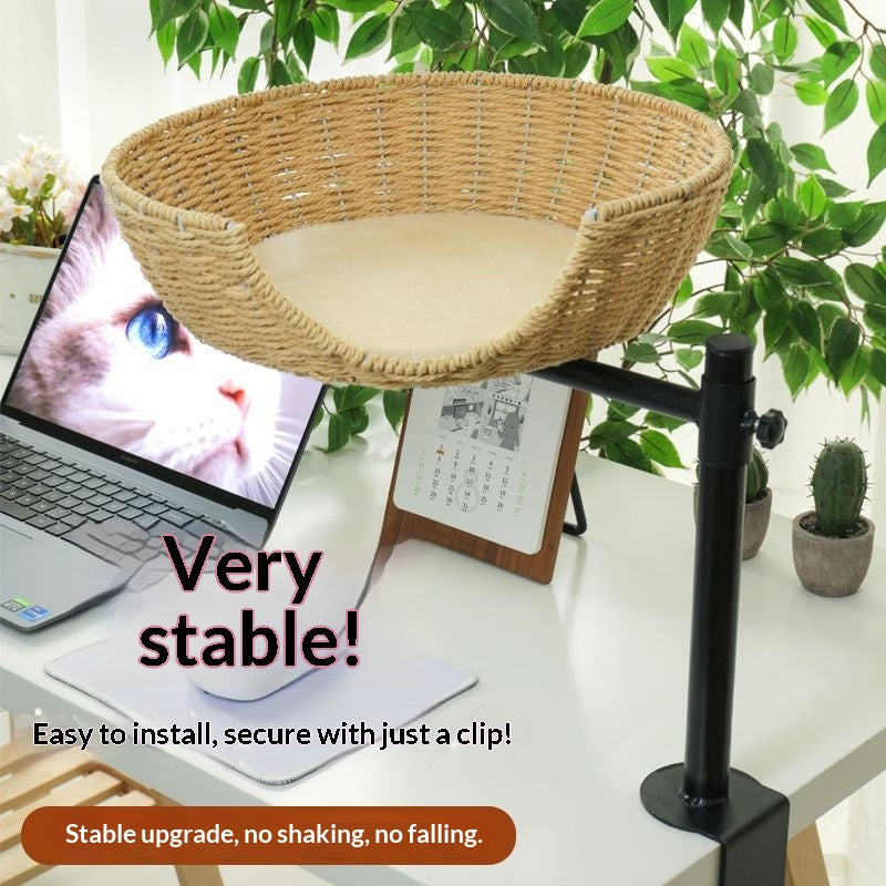 Cat Escalade cadre lit et arbre tout en un seul bureau