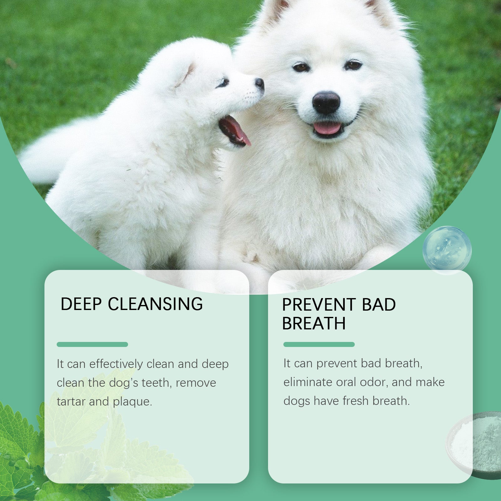 Poudre de nettoyage de dents de chien