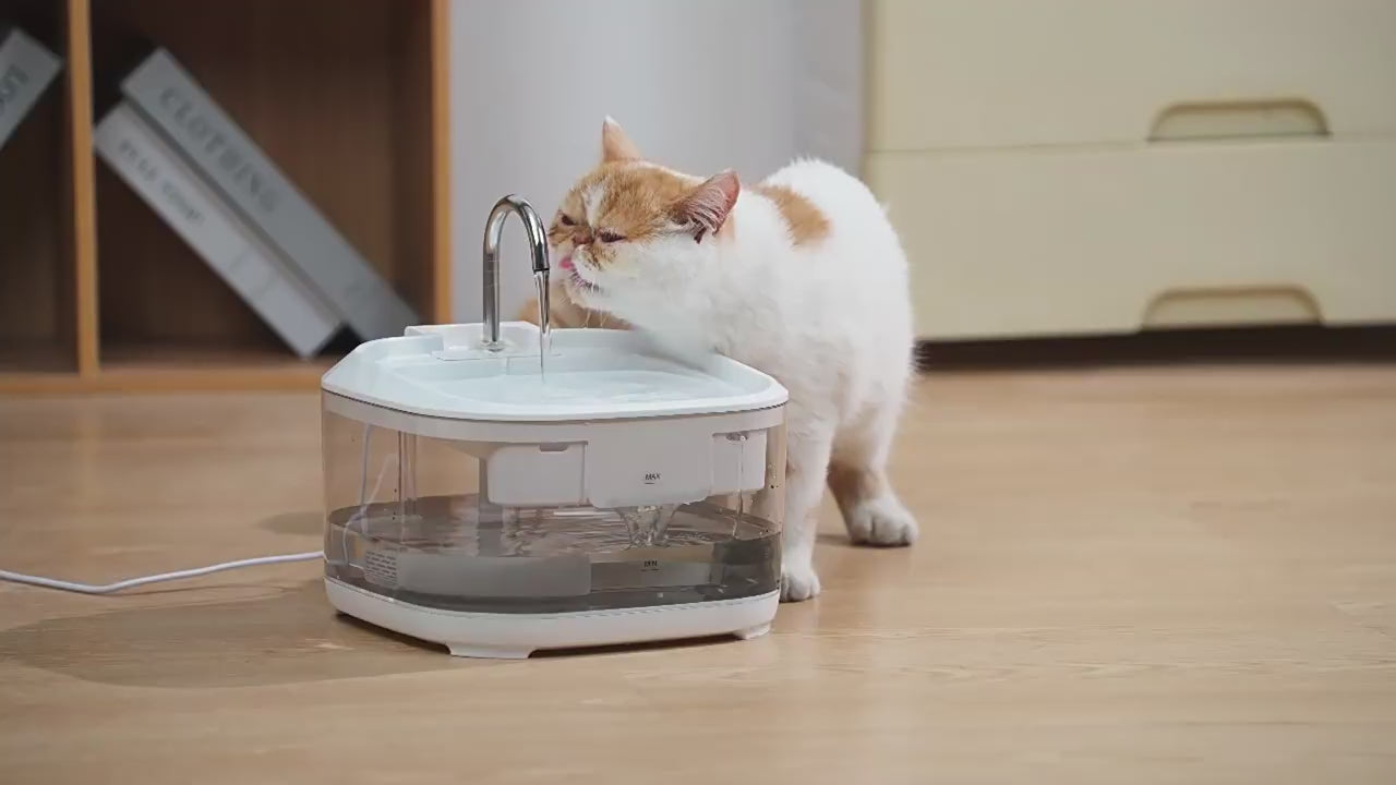 Video produit